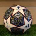 UEFA champions league Istanbul finale 24